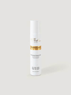 Shampoing sec Perfect Hair